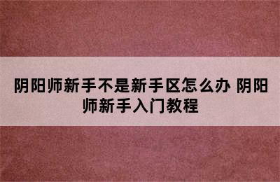 阴阳师新手不是新手区怎么办 阴阳师新手入门教程